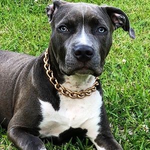 Meet your Posher, Hunter